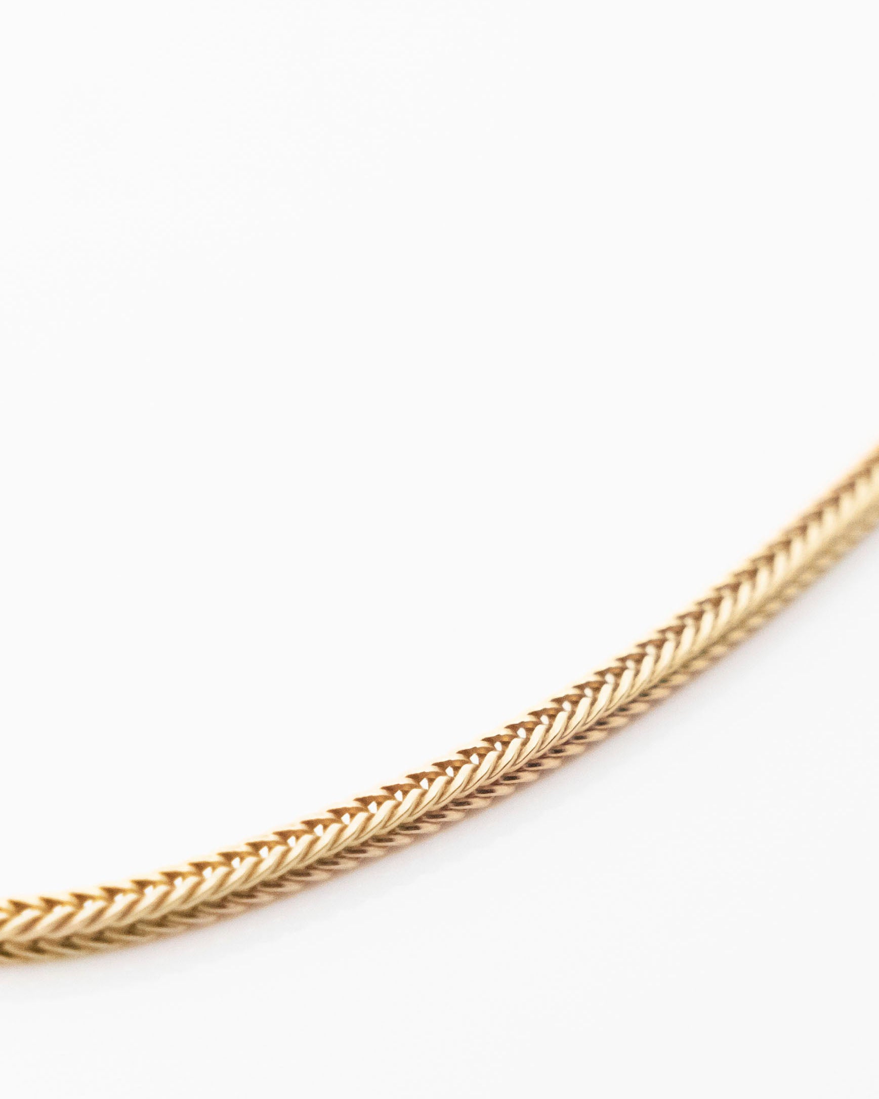 gold fox chain close up on white background